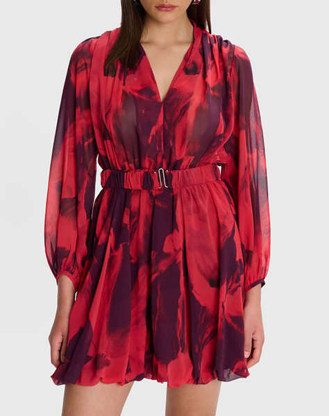 ALE ROCHIE