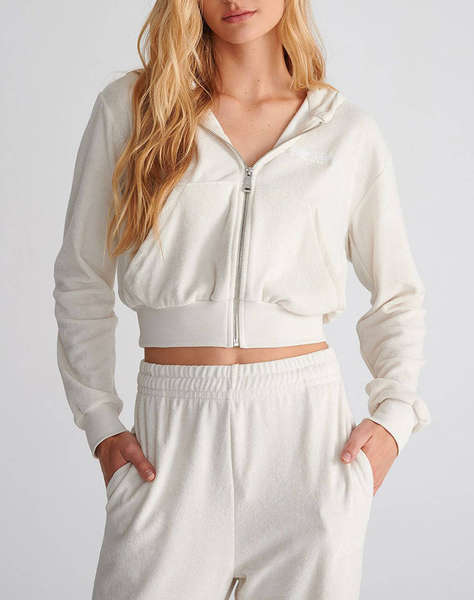 SUGARFREE JACKET