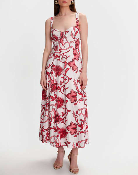 ALE ROCHIE