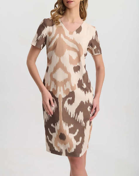 VETO ROCHIE