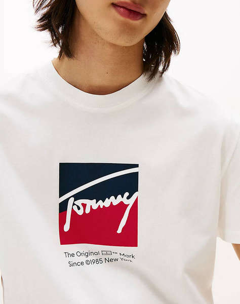 TOMMY JEANS TJM REG RWB DNA TEE
