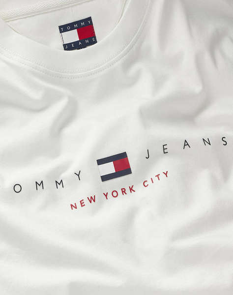TOMMY JEANS TJM REG FLAG LINEAR SS TEE EXT