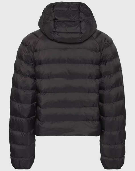 CALVIN KLEIN JEANS LGHTWGHT QLTD JCKT P