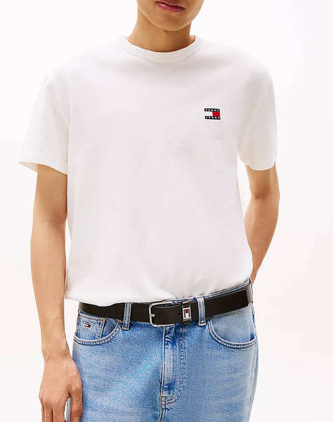 TOMMY JEANS TJM REG BADGE TEE EXT