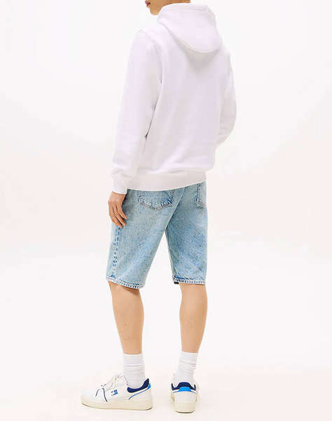 TOMMY JEANS TJM REG ESSENTIAL FLAG HOOD EXT