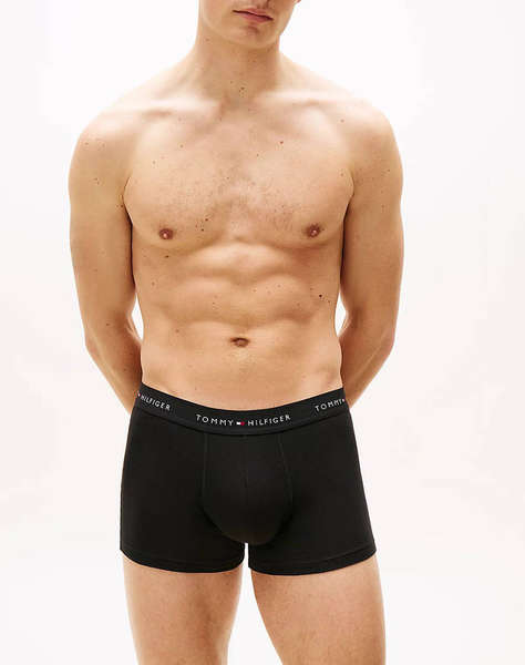 TOMMY HILFIGER 3P WB TRUNK