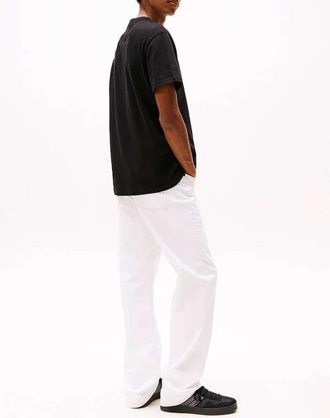 TOMMY JEANS TJM REG BADGE TEE EXT