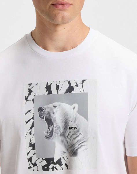 BOSS Te_lupo 10276582 01