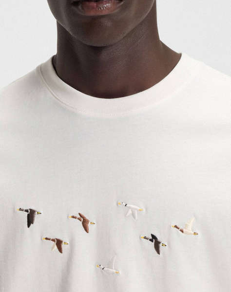 HUGO Dugolini 10272987 01