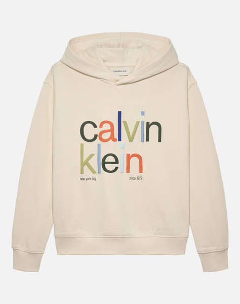 CALVIN KLEIN COLOR LOGO GRAPHIC TERRY HOODIE