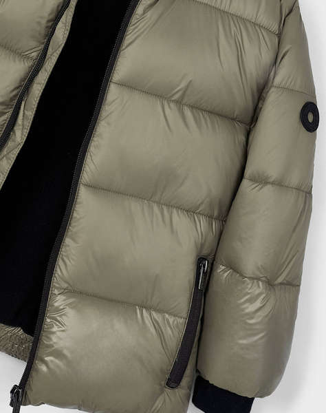 MAYORAL GEACA LUCIOASA