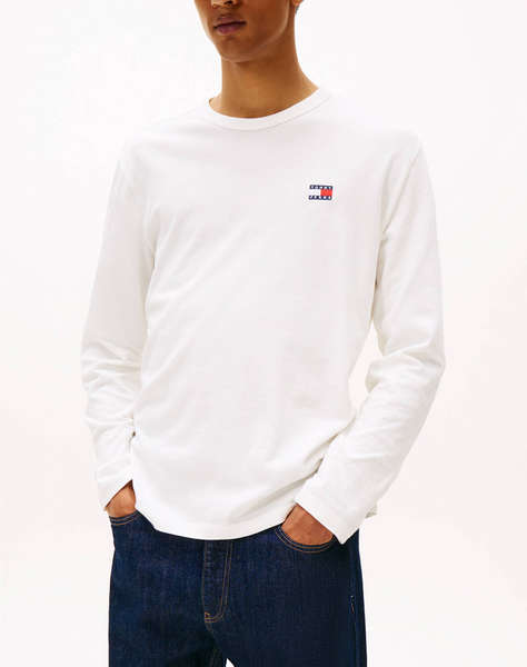 TOMMY JEANS TJM REG BADGE TEE LS