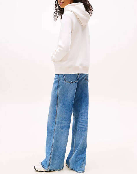 TOMMY JEANS TJW REG LINEAR HOODIE EXT