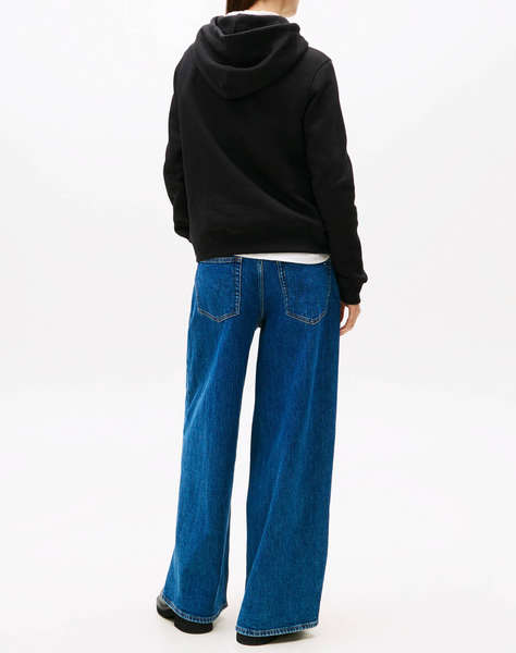 TOMMY JEANS TJW REG LINEAR HOODIE EXT