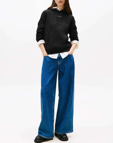 TOMMY JEANS TJW REG LINEAR HOODIE EXT