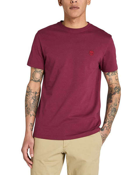 TIMBERLAND SUN RIVER CREW T SHIRT