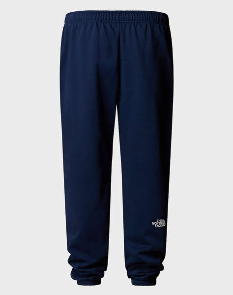 THE NORTH FACE M SD RG TP JOGGER