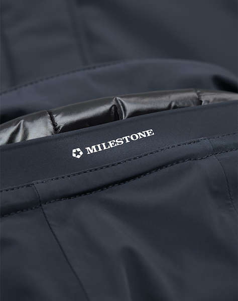 MILESTONE MSRichmond