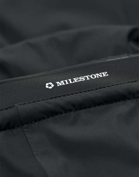 MILESTONE MSRichmond