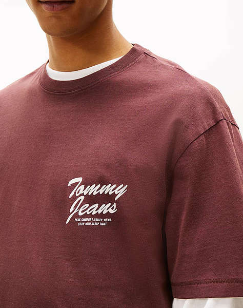 TOMMY JEANS TJM RLX NOVELTY TEE
