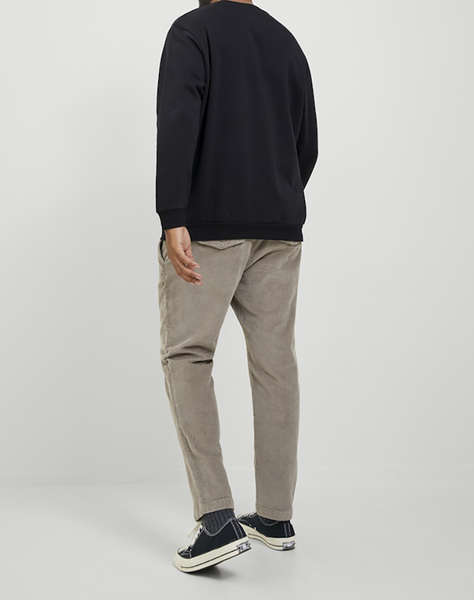 JACK&JONES JJEBRADLEY SWEAT CREW NOOS PLS