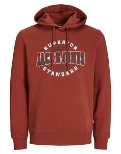 JACK&JONES JJELOGO SWEAT HOOD 2 COL 24/25 NOOS