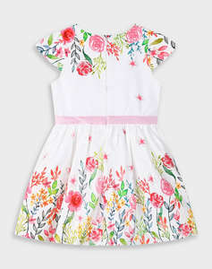 ENERGIERS ROCHIE