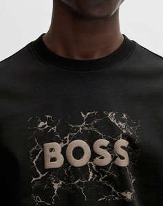 BOSS Te_logospace 10262477 01