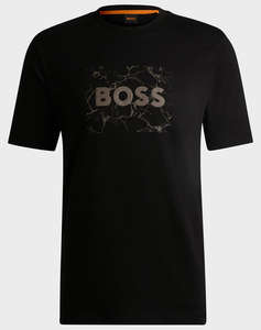 BOSS Te_logospace 10262477 01
