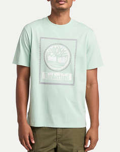 MintGreen