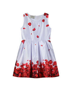 ENERGIERS ROCHIE COPII