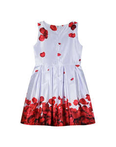 ENERGIERS ROCHIE COPII