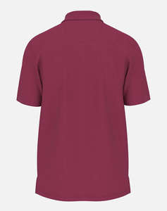 FYNCH-HATTON POLOS