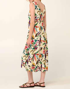 VAMP ROCHIE DE PLAJA