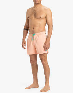 QUIKSILVER EVERYDAY SOLID VOLLEY 15 COSTUM DE BAIE DE BARBATI