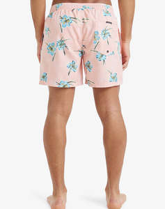 QUIKSILVER EVERYDAY STRAIGHT VOLLEY 15 COSTUM DE BAIE DE BARBATI