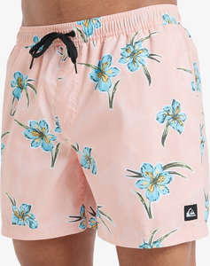 QUIKSILVER EVERYDAY STRAIGHT VOLLEY 15 COSTUM DE BAIE DE BARBATI
