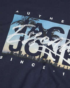JACK&JONES JJCOLTON PHOTOPRINT TEE SS CREW NECK