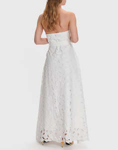 ALE ROCHIE