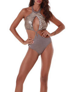 BLUEPOINT COSTUM INTREG