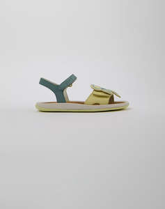 CAMPER Sella Haru,Taimu/Bicho Ry Houston-Haru