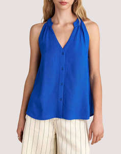 RoyalBlue