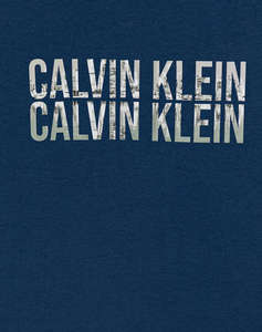 CALVIN KLEIN SEASONAL LOGO SS TEE