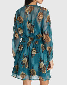 ALE ROCHIE