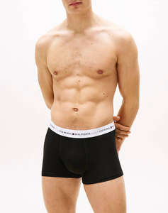 TOMMY HILFIGER 3P WB TRUNK