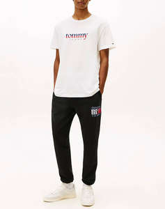 TOMMY JEANS TJM REG DNA TEE EXT