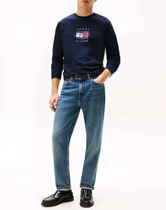 TOMMY HILFIGER LINEAR FLAG GRAPHIC LS TEE
