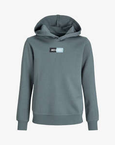 JACK&JONES JJPAN SWEAT HOOD JNR