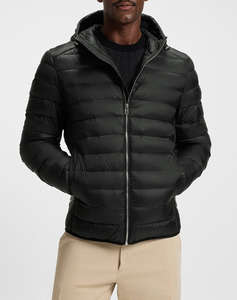 BOSS H-Dimeo 10272702 01