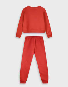 ENERGIERS TRENING(BLUZA,PANTALONI)